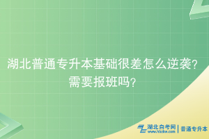 湖北普通專升本基礎很差怎么逆襲？需要報班嗎？