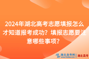 2024年湖北高考志愿填報(bào)怎么才知道報(bào)考成功？填報(bào)志愿要注意哪些事項(xiàng)？