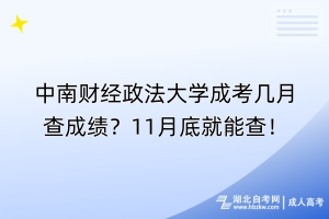 中南財經(jīng)政法大學(xué)成考幾月查成績？11月底就能查！