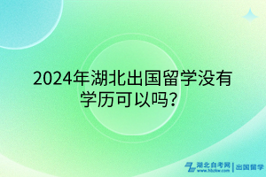 2024年湖北出國留學(xué)沒有學(xué)歷可以嗎？