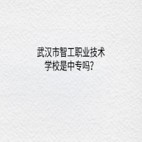 武漢市智工職業(yè)技術(shù)學(xué)校是中專嗎？