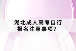 湖北成人高考自行報名注意事項？