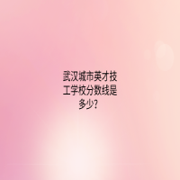 武漢城市英才技工學校分數(shù)線是多少？