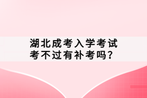 湖北成考入學(xué)考試考不過有補考嗎？