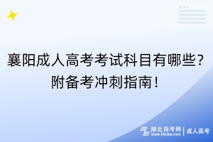 襄陽成人高考考試科目有哪些？附備考沖刺指南！