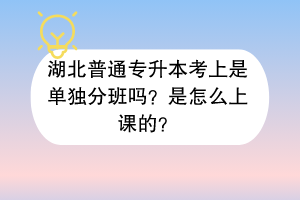 湖北普通專升本考上是單獨(dú)分班嗎？是怎么上課的？