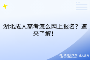 湖北成人高考怎么網(wǎng)上報(bào)名？速來(lái)了解！