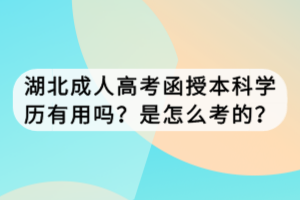 湖北成人高考函授本科學(xué)歷有用嗎？是怎么考的？