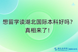 想留學讀湖北國際本科好嗎？真相來了！