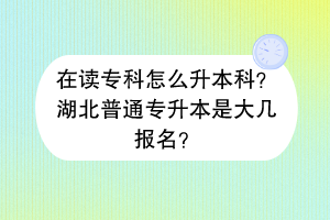 在讀?？圃趺瓷究疲亢逼胀▽Ｉ臼谴髱讏?bào)名？
