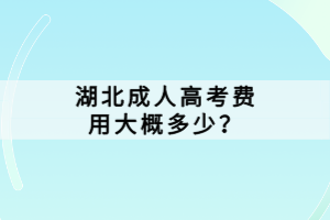 湖北成人高考費用大概多少？