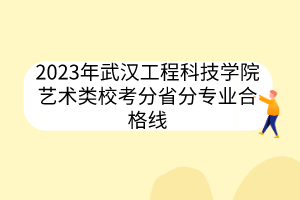 2023年武漢工程科技學(xué)院藝術(shù)類?？挤质》謱I(yè)合格線