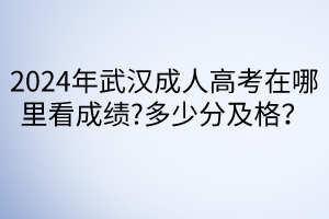 2024年武漢成人高考在哪里看成績?多少分及格？