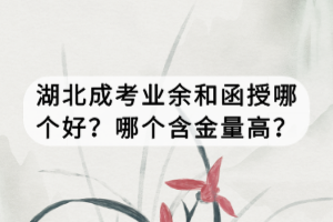 湖北成考業(yè)余和函授哪個好？哪個含金量高？