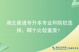 湖北普通專(zhuān)升本專(zhuān)業(yè)和院校選擇，哪個(gè)比較重要？