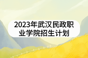 2023年武漢民政職業(yè)學院招生計劃