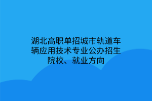 湖北高職單招城市軌道車輛應用技術(shù)專業(yè)公辦招生院校、就業(yè)方向