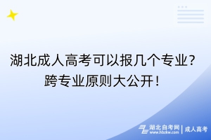 湖北成人高考可以報(bào)幾個(gè)專業(yè)？跨專業(yè)原則大公開！