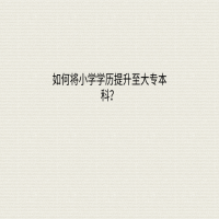 如何通過自考將小學(xué)學(xué)歷提升至大專本科？