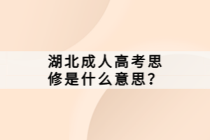湖北成人高考思修是什么意思？