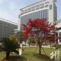 武漢鐵路橋梁學校