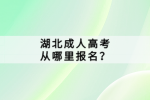 湖北成人高考從哪里報(bào)名？