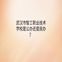 武漢市智工職業(yè)技術(shù)學(xué)校是公辦還是民辦？