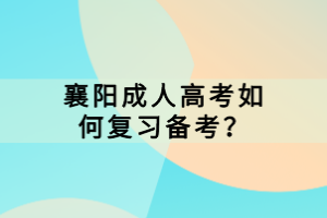 襄陽成人高考如何復(fù)習(xí)備考？