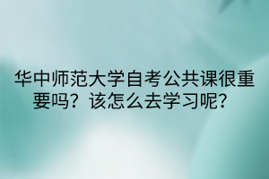 華中師范大學(xué)自考公共課很重要嗎？該怎么去學(xué)習(xí)呢？