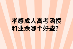 孝感成人高考函授和業(yè)余哪個好些？