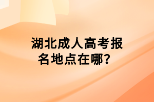 湖北成人高考報名地點在哪？