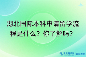 湖北國際本科申請留學(xué)流程是什么？你了解嗎？
