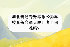 湖北普通專升本報(bào)公辦學(xué)校競(jìng)爭(zhēng)會(huì)很大嗎？考上困難嗎？