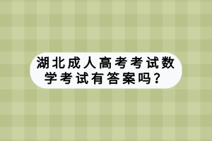 湖北成人高考考試數(shù)學(xué)答案有答案嗎？