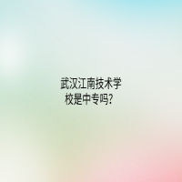 武漢江南技術(shù)學(xué)校是中專嗎？