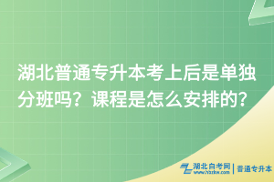 湖北普通專升本考上后是單獨分班嗎？課程是怎么安排的？