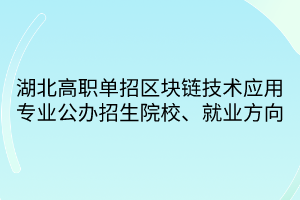 湖北高職單招區(qū)塊鏈技術(shù)應(yīng)用專業(yè)公辦招生院校、就業(yè)方向