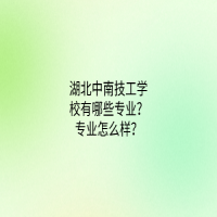 湖北中南技工學校有哪些專業(yè)？專業(yè)怎么樣？