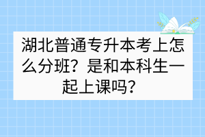 湖北普通專升本考上怎么分班？是和本科生一起上課嗎？