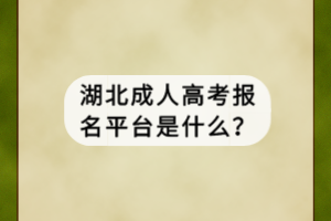湖北成人高考報名平臺是什么？