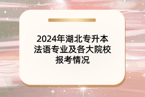 2024年湖北專升本法語(yǔ)專業(yè)及各大院校報(bào)考情況