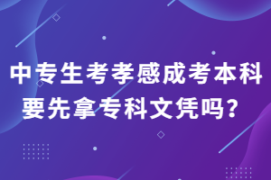 中專生考孝感成考本科要先拿?？莆膽{嗎？