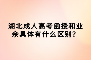 湖北成人高考函授和業(yè)余具體有什么區(qū)別？