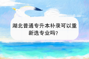 湖北普通專升本補(bǔ)錄可以重新選專業(yè)嗎？