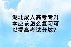 湖北成人高考專升本應(yīng)該怎么復(fù)習(xí)可以提高考試分?jǐn)?shù)？