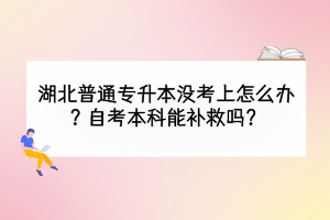 湖北普通專升本沒考上怎么辦？自考本科能補救嗎？