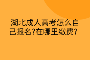湖北成人高考怎么自己報名?在哪里繳費？
