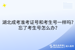 湖北成考準(zhǔn)考證號(hào)和考生號(hào)一樣嗎？忘了考生號(hào)怎么辦？
