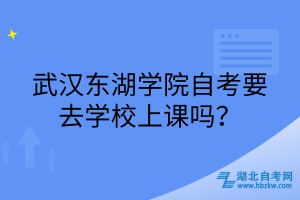 武漢東湖學院自考要去學校上課嗎？