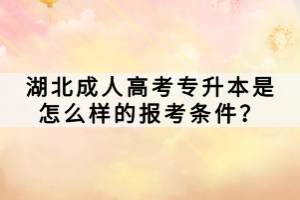 湖北成人高考專升本是怎么樣的報考條件？